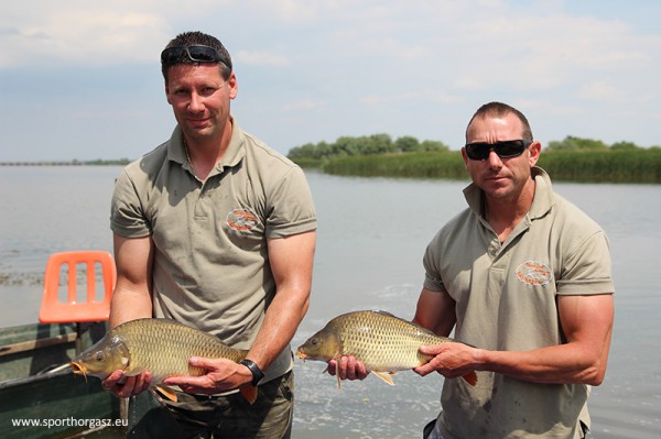 Újabb háromnyarasok frissítik a Tisza-tó halállományát