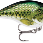 Rapala DT 4 Baby Bass BB